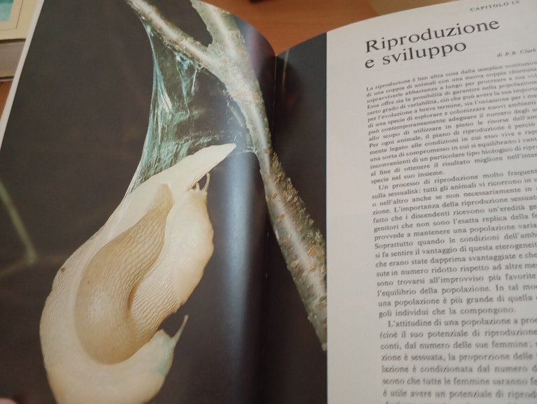 Gli invertebrati, Garzanti, I libri della natura, 1982