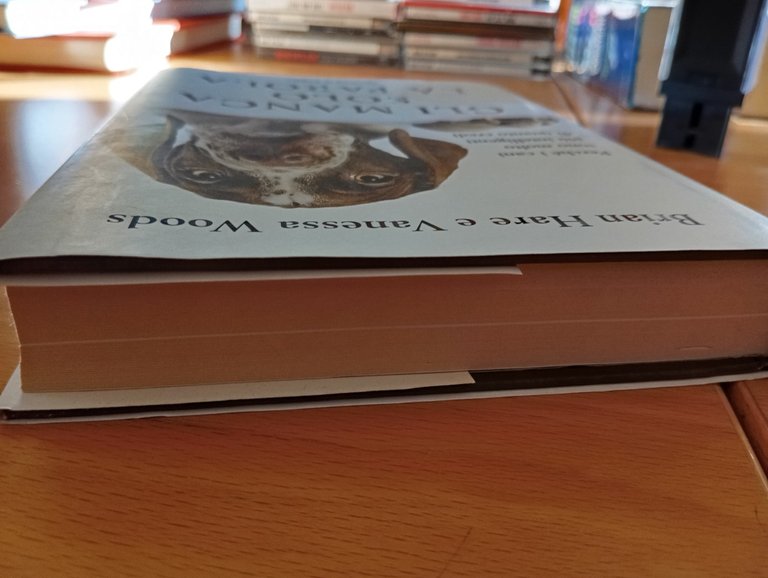 Gli manca solo la parola B. Hare V. Woods Sperling …