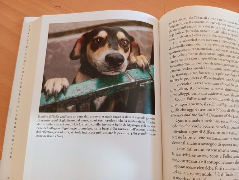 Gli manca solo la parola B. Hare V. Woods Sperling …