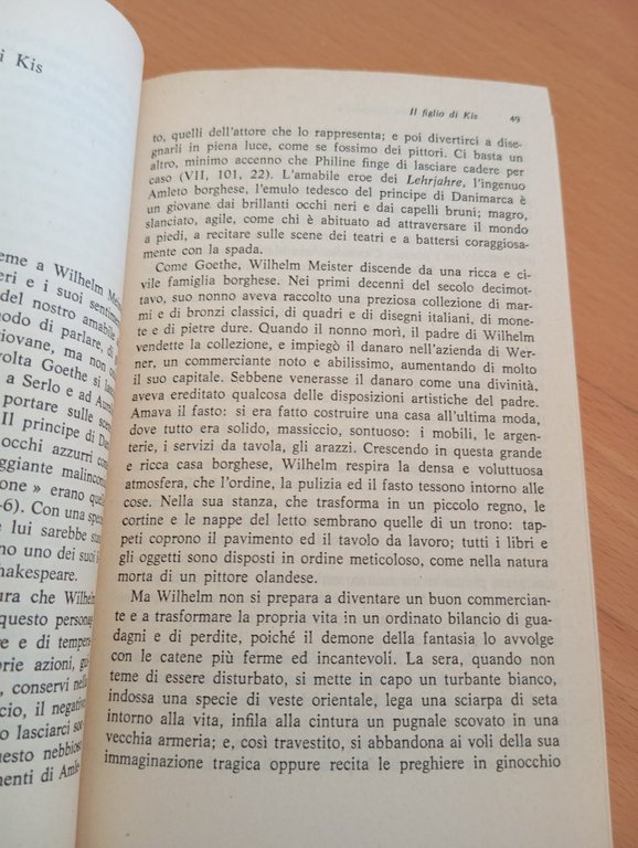 Goethe, Pietro Citati, Mondadori, 1977
