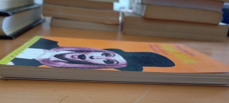 Grazie Raffa! L'estetica del tuca tuca, Valeria Muccifora, Castelvecchi, 2000 | Immagine Gallery 4