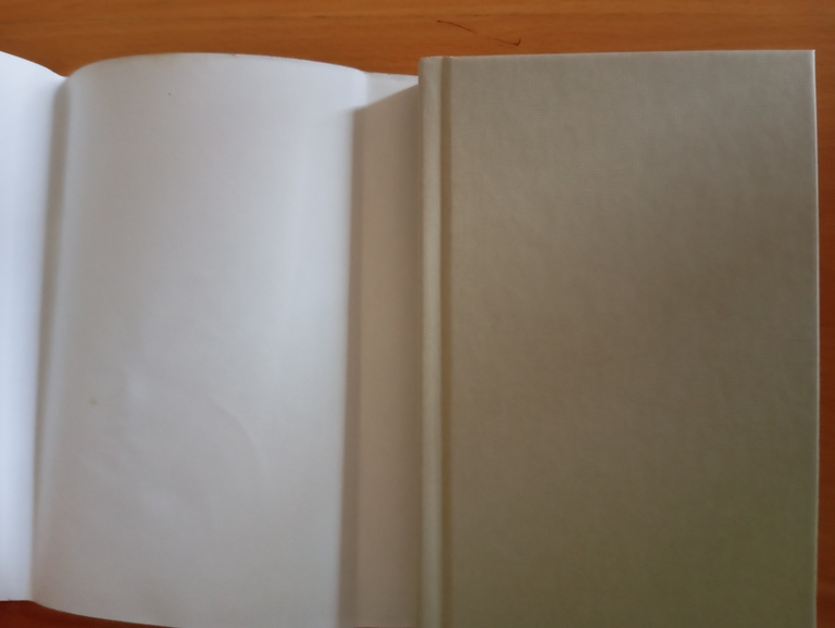 Guerra e guerra. Una testimonianza, Barbara Schiavulli, Garzanti, 2009 | Immagine Gallery 5