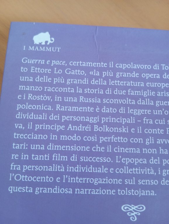 Guerra e pace, Leone Tolstoj, Newton Compton, 2010