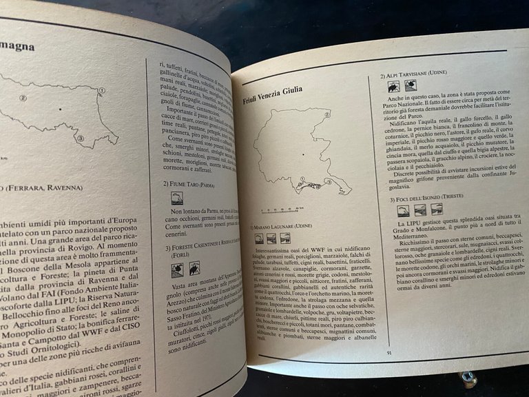 Guida al birdwatching. Come dove quando in Italia e in … | Immagine Gallery 29