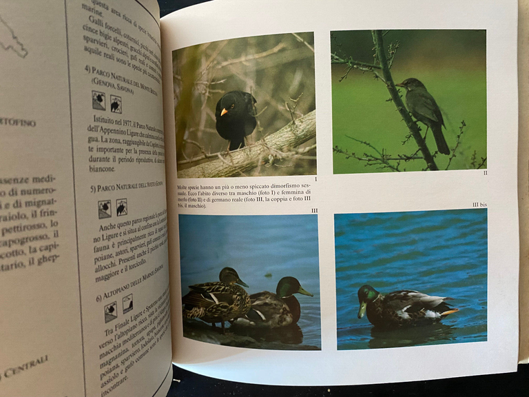 Guida al birdwatching. Come dove quando in Italia e in … | Immagine Gallery 35