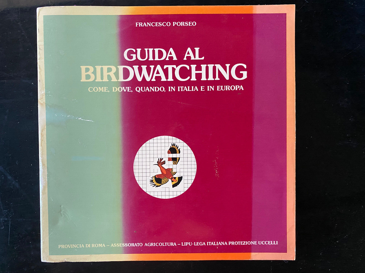 Guida al birdwatching. Come dove quando in Italia e in … | Immagine principale