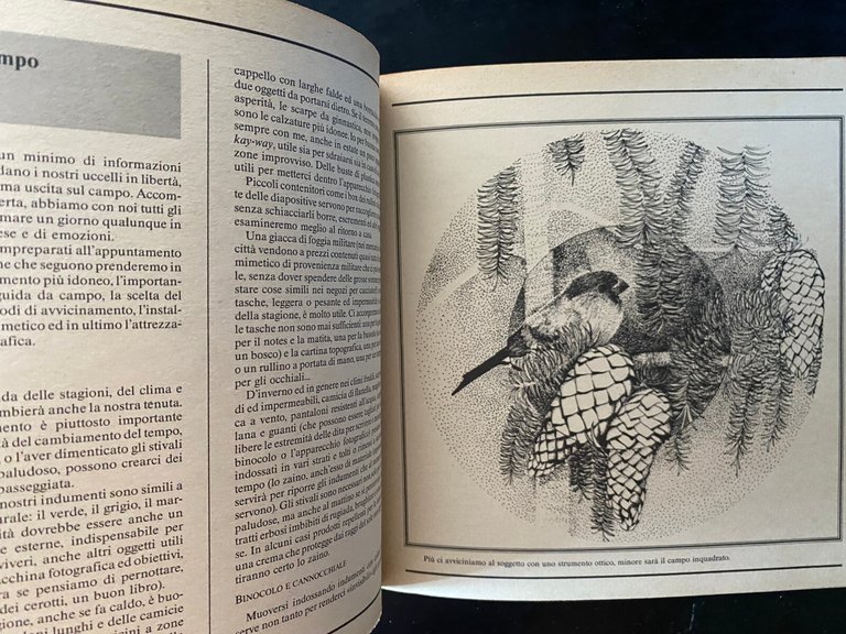 Guida al birdwatching. Come dove quando in Italia e in … | Immagine Gallery 21