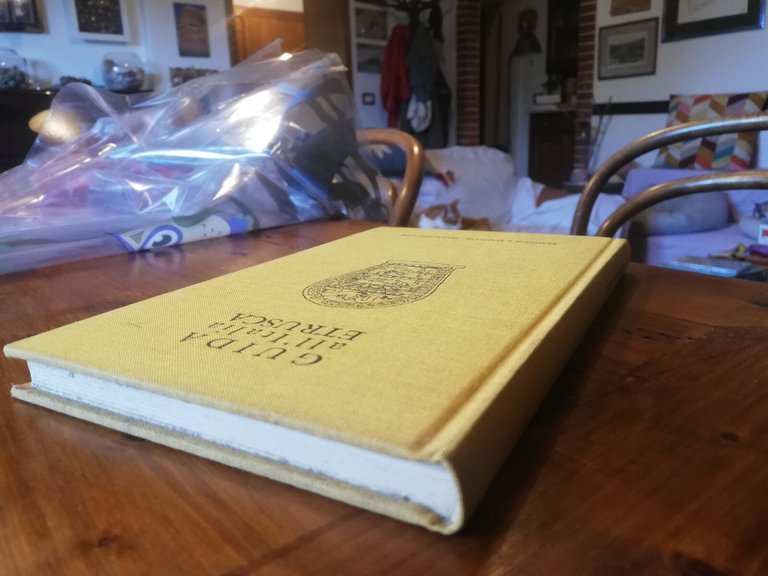 Guida all'Italia etrusca, Lucio Passerini, Marcos y Marcos, 1985 | Immagine Gallery 3