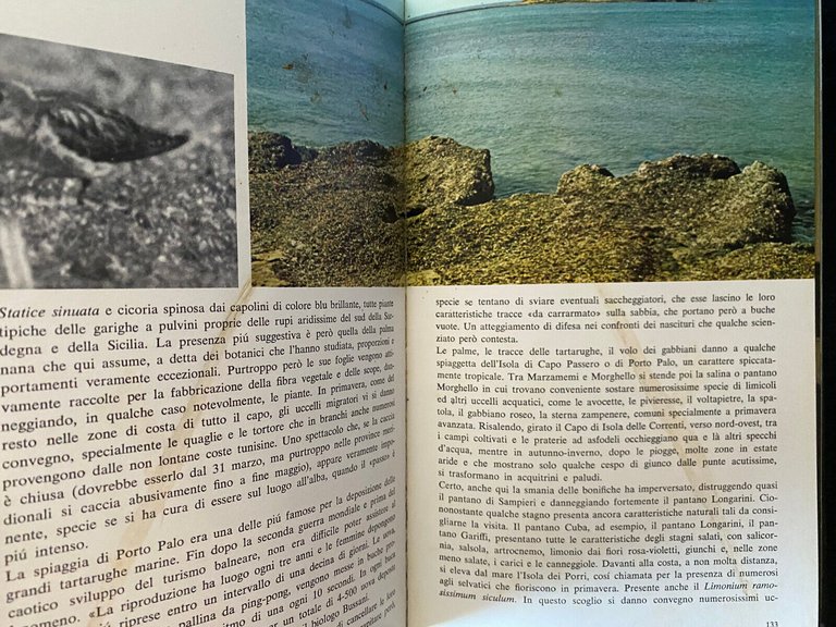 Guida alla natura della Sicilia, Pratesi - Tassi, Mondadori, 1974