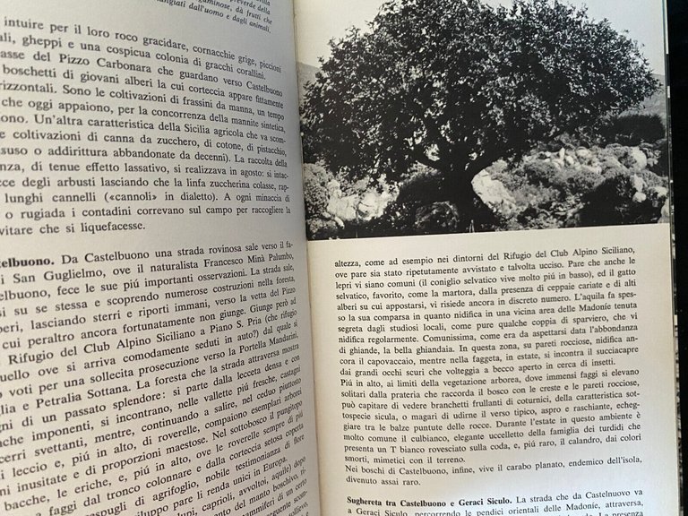 Guida alla natura della Sicilia, Pratesi - Tassi, Mondadori, 1974