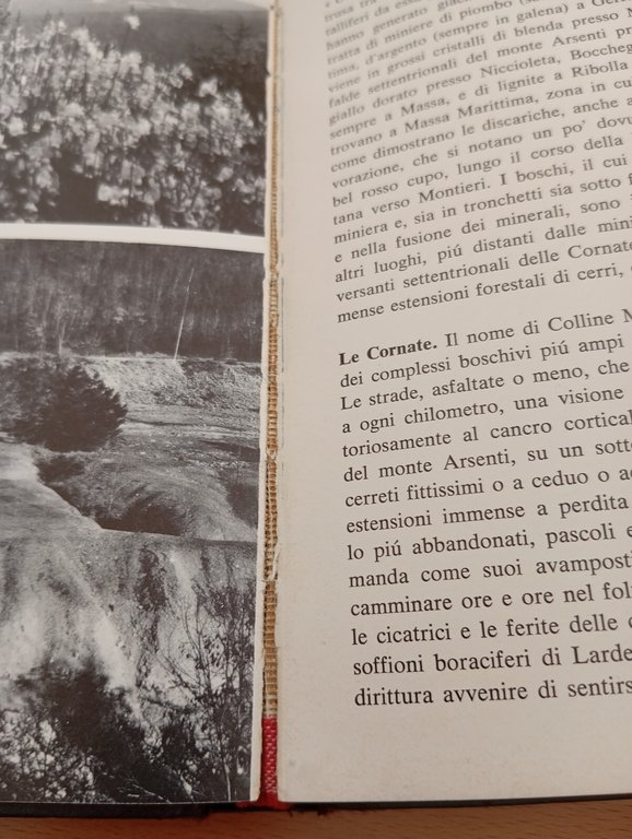 Guida alla natura della Toscana e dell'Umbria, Pratesi - Tassi, … | Immagine Gallery 28