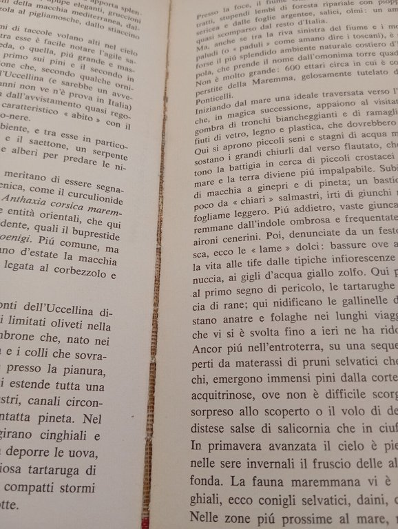 Guida alla natura della Toscana e dell'Umbria, Pratesi - Tassi, …