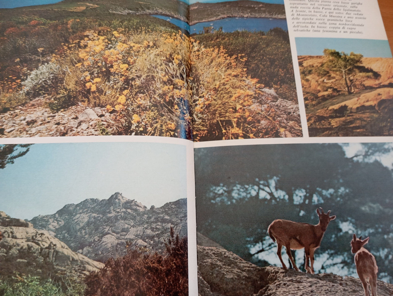 Guida alla natura della Toscana e dell'Umbria, Pratesi - Tassi, … | Immagine Gallery 31