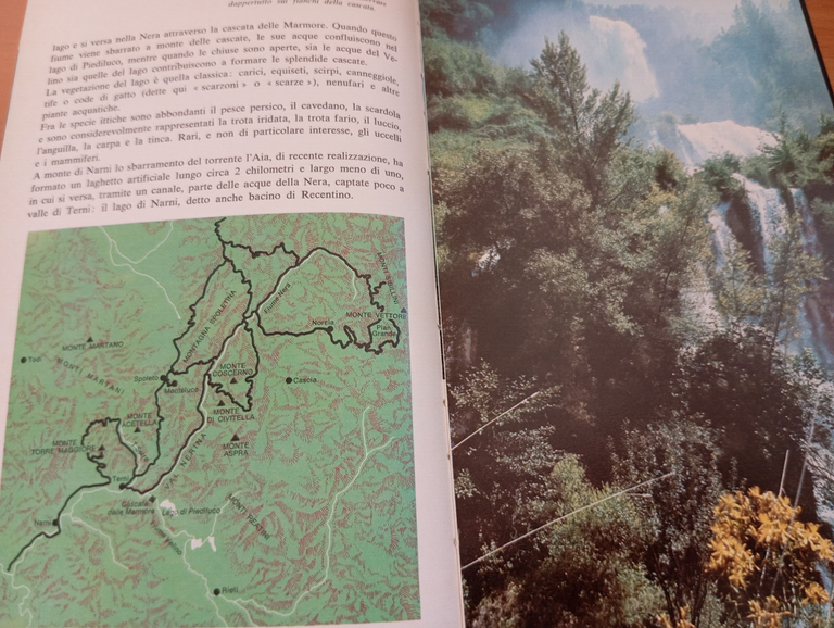 Guida alla natura della Toscana e dell'Umbria, Pratesi - Tassi, … | Immagine Gallery 35