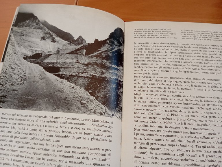 Guida alla natura della Toscana e dell'Umbria, Pratesi - Tassi, … | Immagine Gallery 24