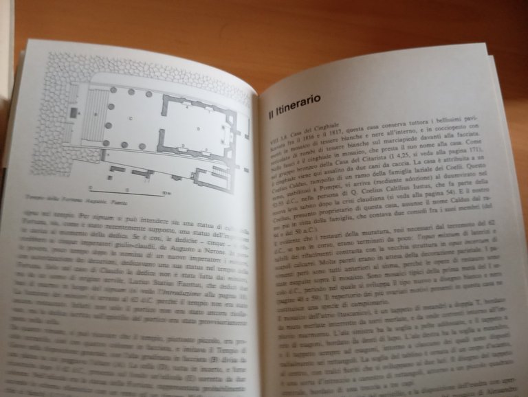Guida archeologica di Pompei, La Rocca - De Vos, Mondadori, …