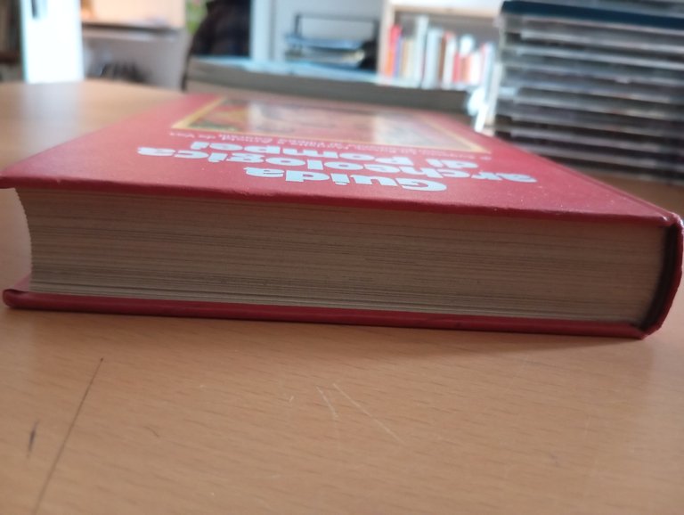 Guida archeologica di Pompei, La Rocca - De Vos, Mondadori, …