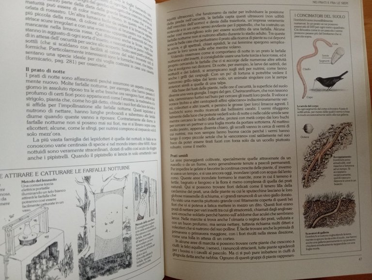 Guida del naturalista, Gerald Durrell, Prefazione Konrad Lorenz, Mondadori 1983 | Immagine Gallery 10