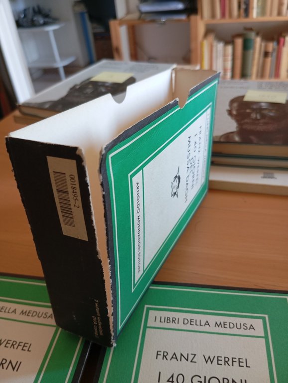 I 40 giorni del Mussa Dagh, Franz Werfel, due volumi, … | Immagine Gallery 7