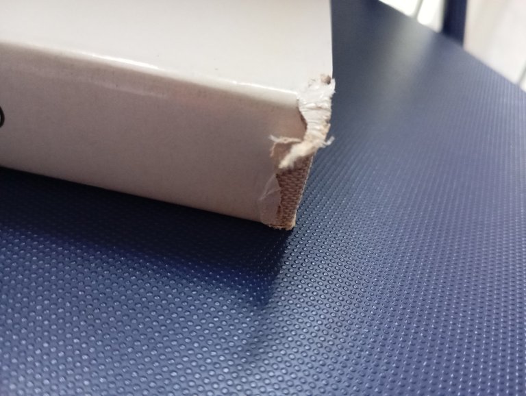 I fioretti di San Francesco, Illustrati da Giotto, Editrice Fiorentina …