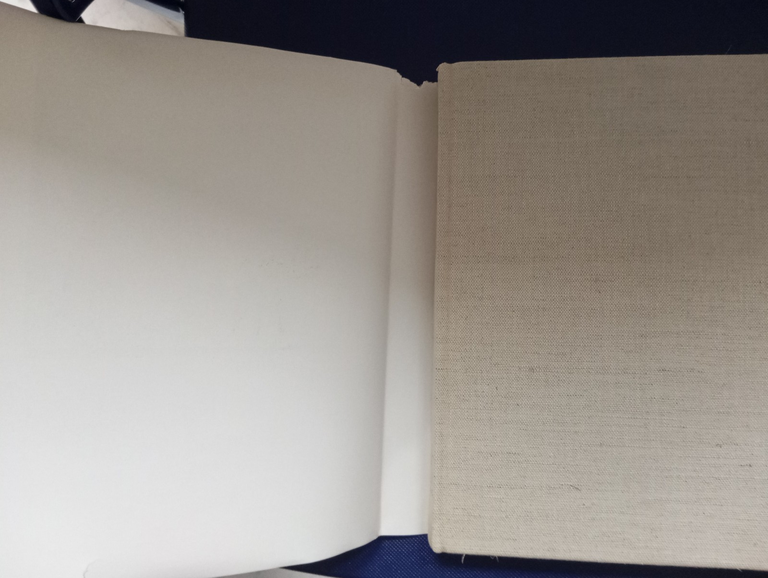 I fioretti di San Francesco, Illustrati da Giotto, Editrice Fiorentina …