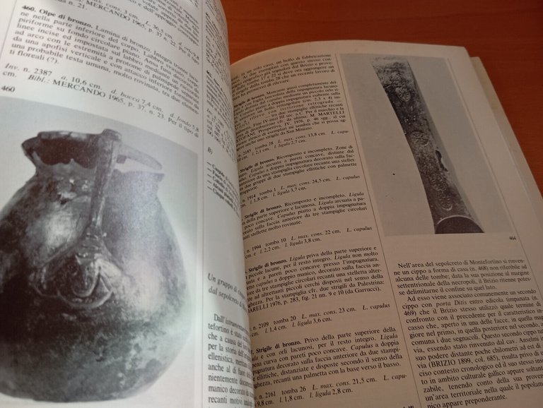 I Galli e l'Italia, Soprintendenza archeologica di Roma, De Luca, …