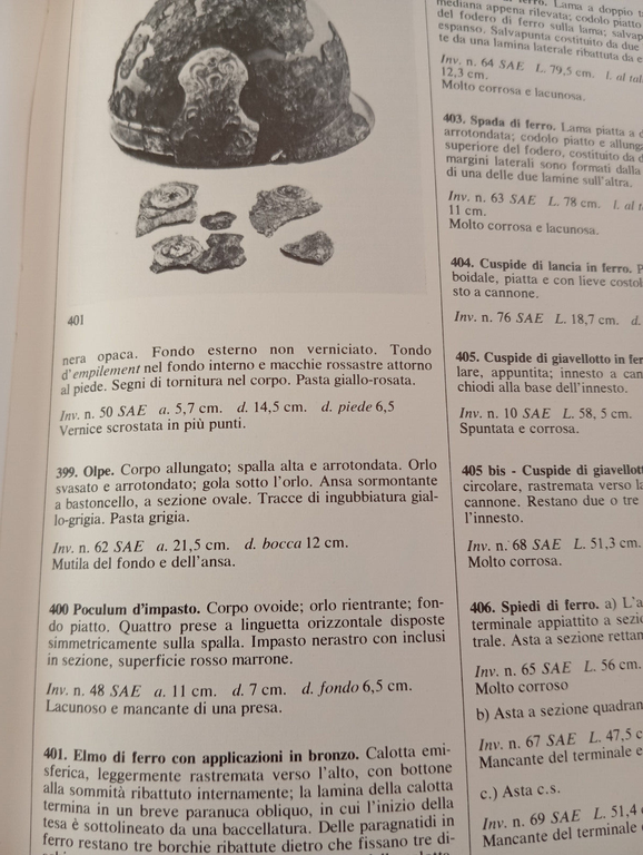I Galli e l'Italia, Soprintendenza archeologica di Roma, De Luca, …