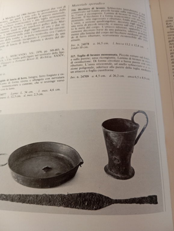 I Galli e l'Italia, Soprintendenza archeologica di Roma, De Luca, …