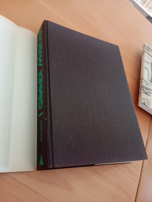 I grandi musicisti, Harlod C. Schonberg, Mondadori, 1972 | Immagine Gallery 13