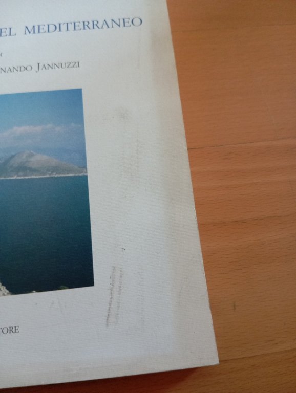 I luoghi costieri del Mediterraneo, Rosi - Jannuzzi, Atti convegno … | Immagine Gallery 2