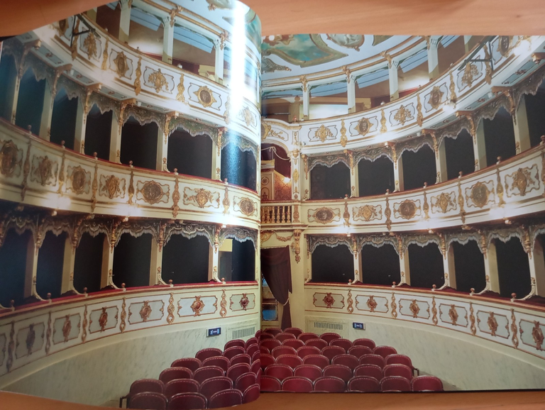 I luoghi verdiani. Busseto, Roncole, Sant'Agata, Franco Maria Ricci | Immagine Gallery 8