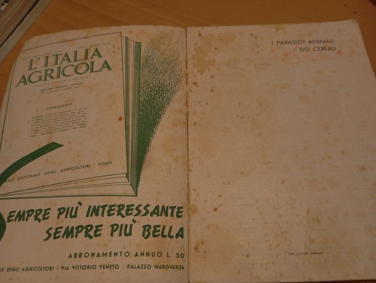 I parassiti dei cereali, E. Malenotti, Ramo editoriale degli agricoltori, … | Immagine Gallery 9