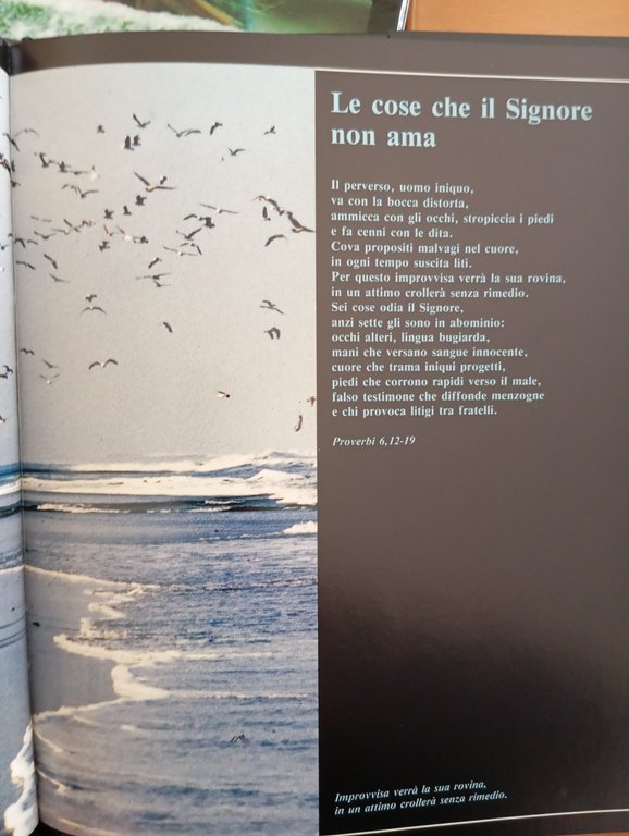 I proverbi nella Bibbia, due volumi e cofanetto, Edizioni Paoline, …