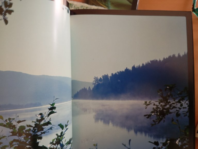 I proverbi nella Bibbia, due volumi e cofanetto, Edizioni Paoline, …