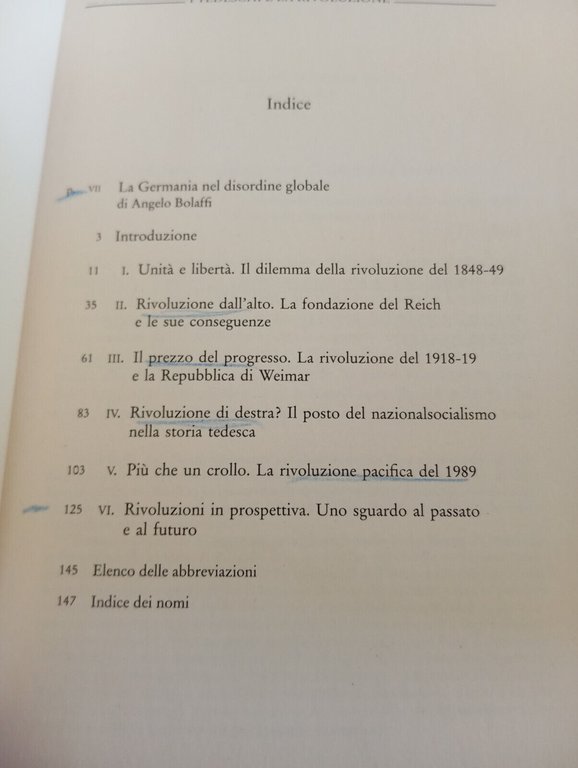 I tedeschi e la rivoluzione, Heinrich August Winkler, Donzellli, 2024