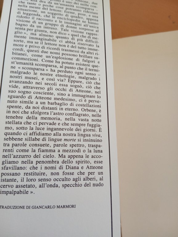 Il bagno di Diana, Pierre Klossowski, ES, 1993 | Immagine Gallery 10