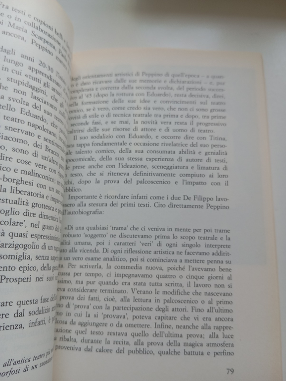 Il buffone e il poveruomo, Il teatro di Peppino De …