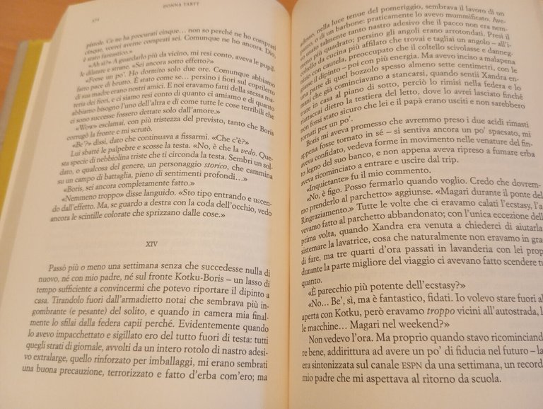 Il cardellino, Donna Tartt, Rizzoli, 2014