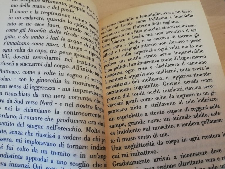 Il cardinale Napellus, Gustav Meyrink, Mondadori, 1989