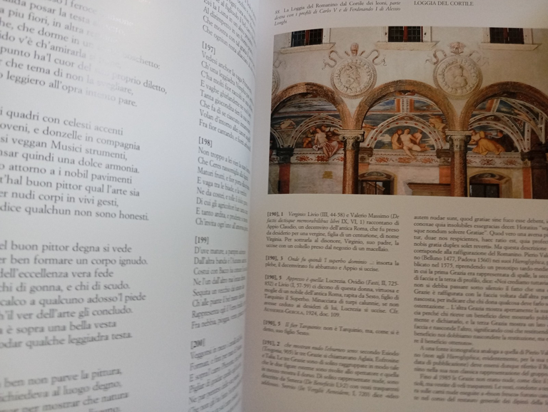 Il Castello del Buonconsiglio, 2 volumi e cofanetto, Temi Editrice, … | Immagine Gallery 11