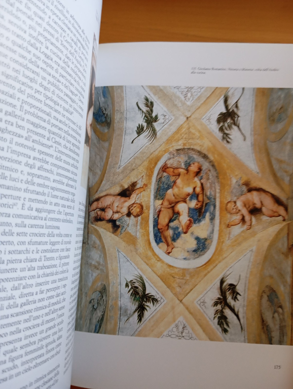 Il Castello del Buonconsiglio, 2 volumi e cofanetto, Temi Editrice, … | Immagine Gallery 16