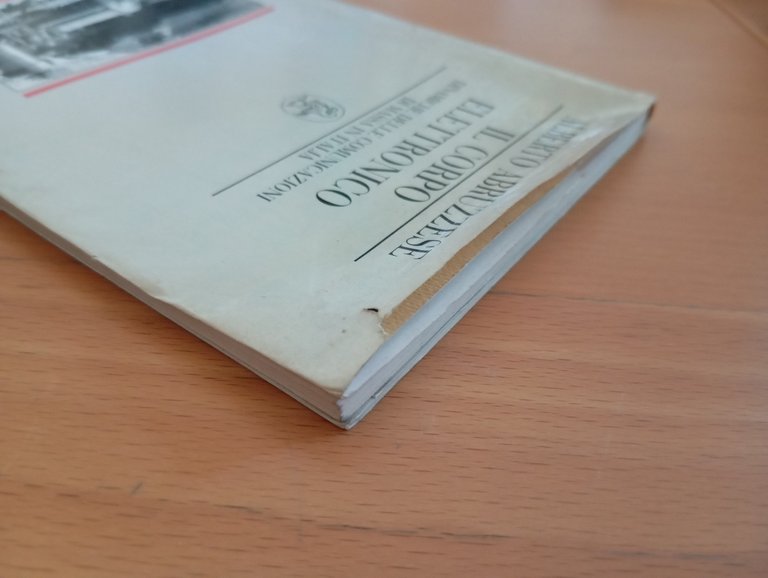 Il corpo elettronico, Alberto Abruzzese, La Nuova Italia, 1988