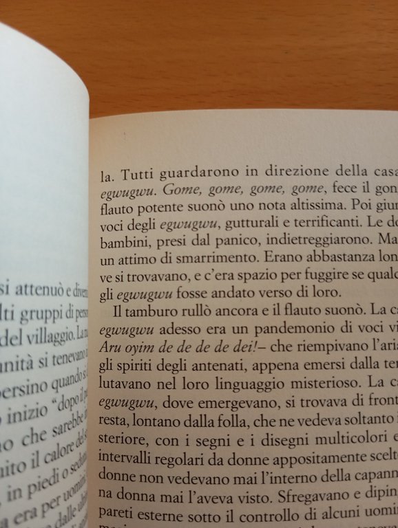 Chinua Achebe, Il crollo, e/o I Leoni, 2006, fuori catalogo | Immagine Gallery 9
