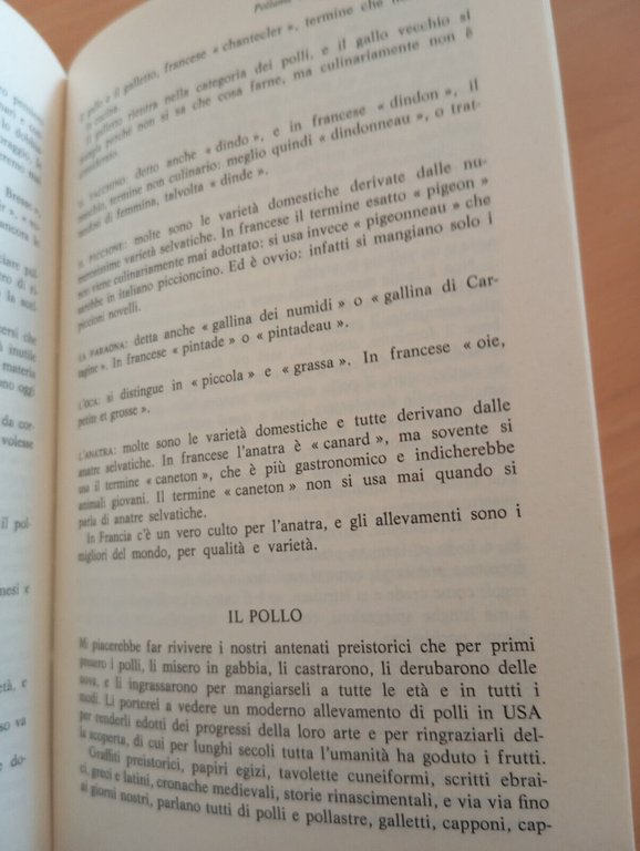 Il cuoco gentiluomo, Livio Cerini di Castegnate, Mondadori, 1980