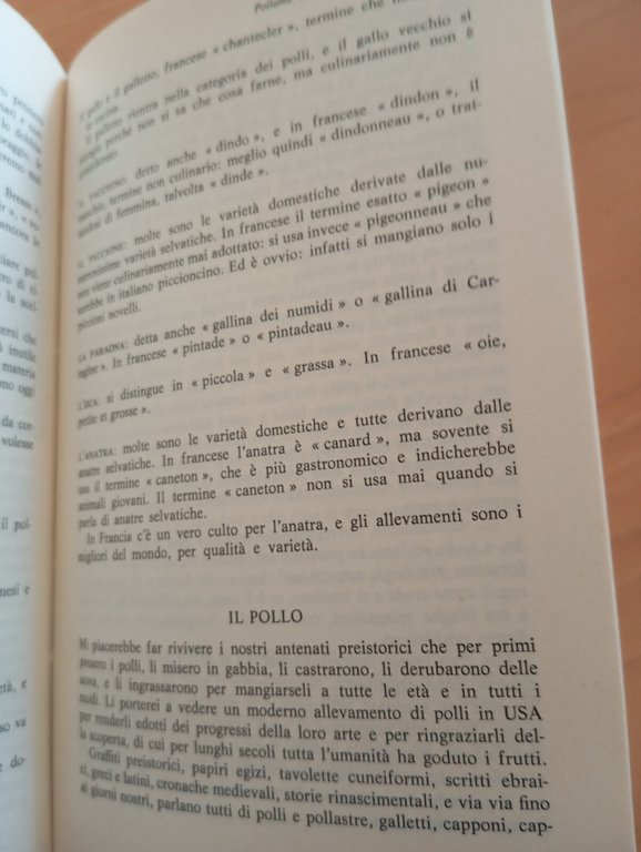 Il cuoco gentiluomo, Livio Cerini di Castegnate, Mondadori, 1980