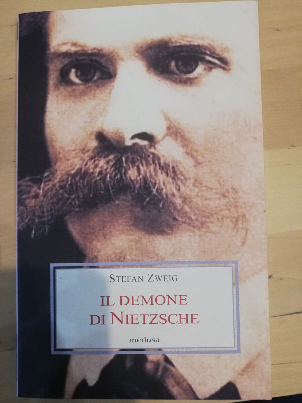 Il demone di Nietzsche, Stefan Sweig, Medusa, 2014