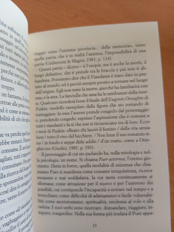Il flaneur all'inferno, Augusto Romano, Moretti e Vitali, 1996 | Immagine Gallery 7