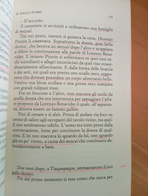 Il gallo d'oro, Rulfo, Einaudi, 2015, sottolineato | Immagine Gallery 14