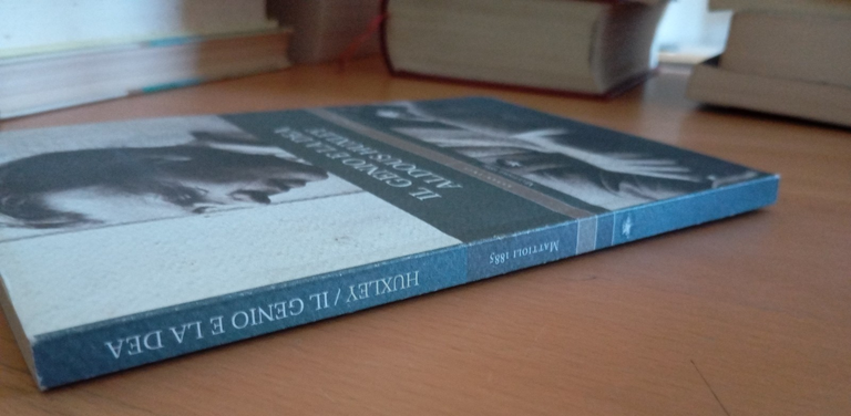 Il genio e la dea, Aldous Huxley, Mattioli 1885, 2008 | Immagine Gallery 2