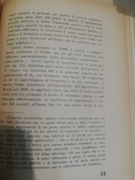 Il grano perenne, Giovani Haussmann, Edizioni Agricole